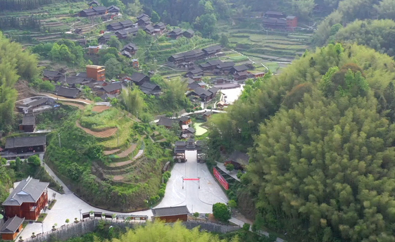 1749172636140195.jpg 1740717496534888.jpg